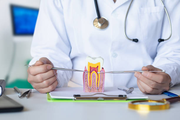 Best After-Hours Emergency Dentist in Montpelier, IN
